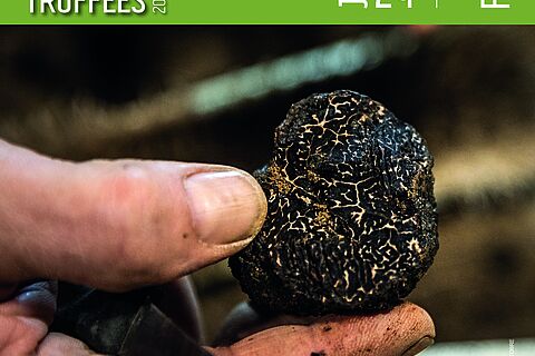 Visite guidée d'Uzès sur le thème de la truffe avec dégustation à base de truffe